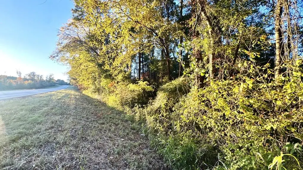 TR 004 Hwy 21e, Hemphill, TX 75948 - #1