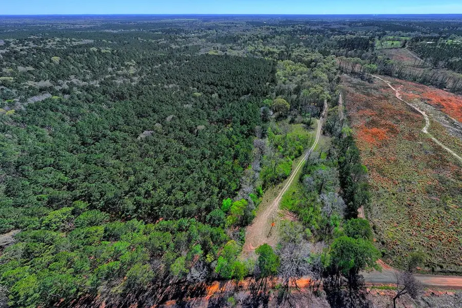 1039 Flat Road, Milam, TX 75959 - #3