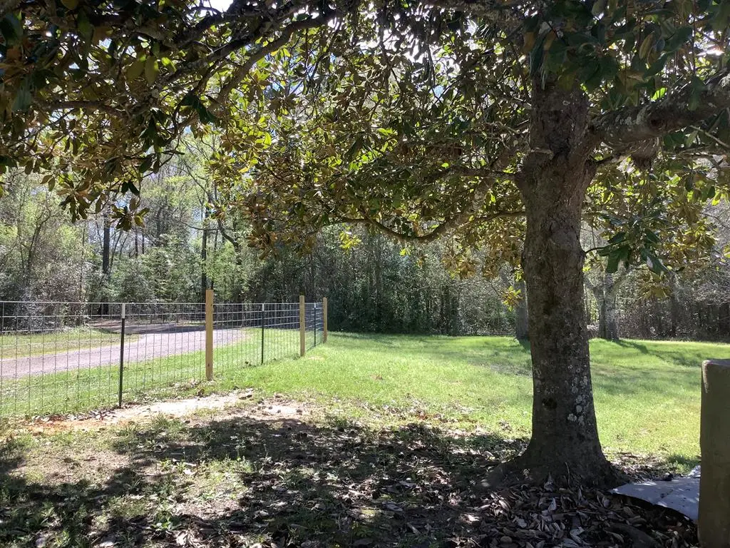 894 Cr 144, Jasper, TX 75951 - #1