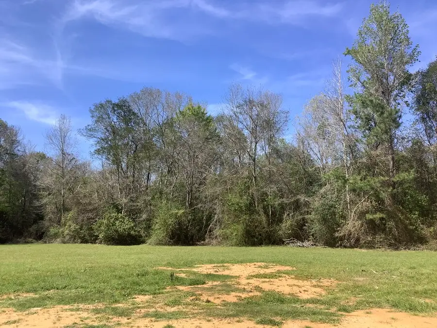 894 Cr 144, Jasper, TX 75951 - #3