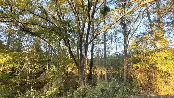 TR 10 Hwy 21e, Hemphill, TX 75948