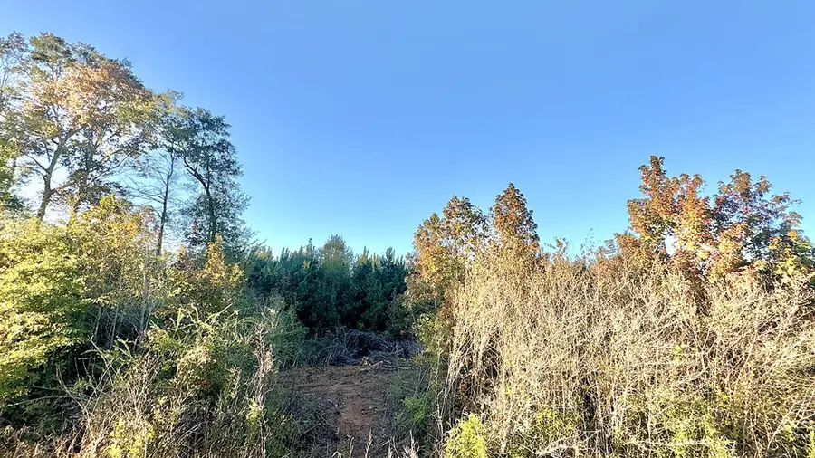 TR 11 Hwy 21e, Hemphill, TX 75948 - #3