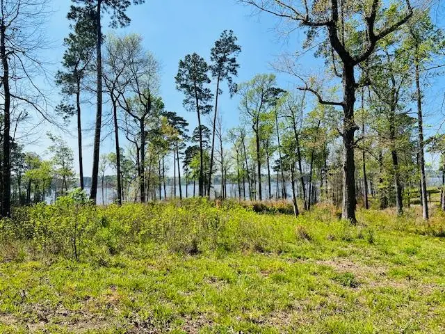 155 Crowell Lane, Milam, TX 75959 - #1