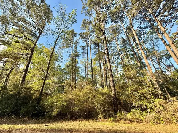 Lot: 902 Bowline Drive, Hemphill, TX 75948