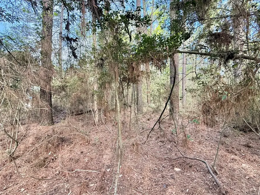 Lot: 902 Bowline Drive, Hemphill, TX 75948 - #2