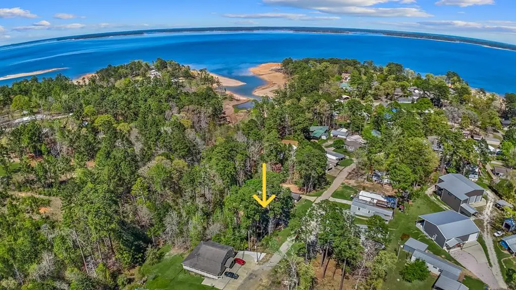 242 Wildbriar Drive, Jasper, TX 75951 - #1
