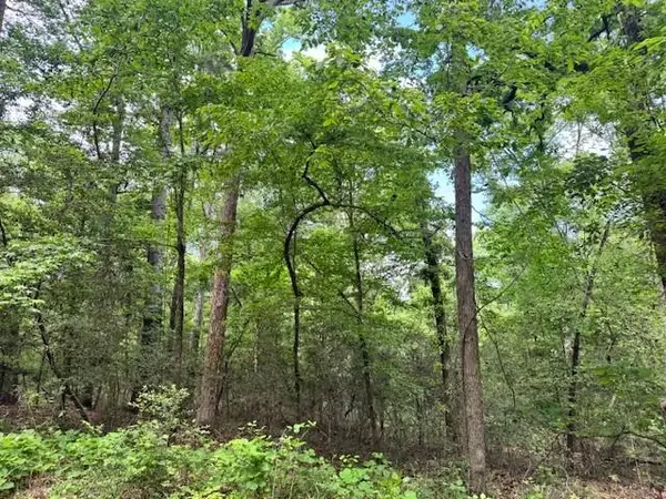 Lot 9 White Oak Drive, Etoile, TX 75944