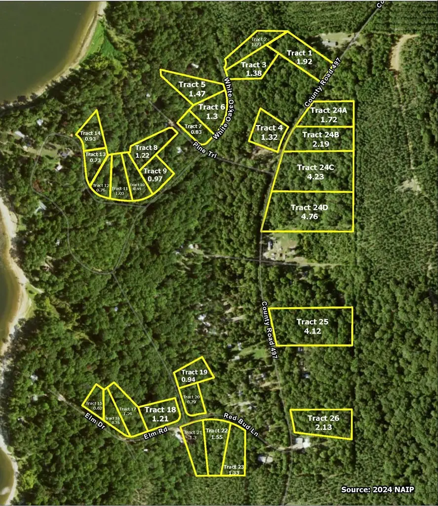 Lot 10 Holly Circle, Etoile, TX 75944 - #2