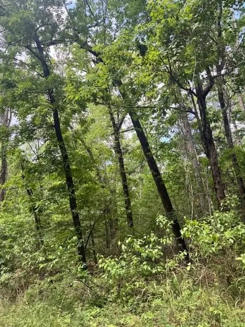 Lot 11 Holly Circle, Etoile, TX 75944