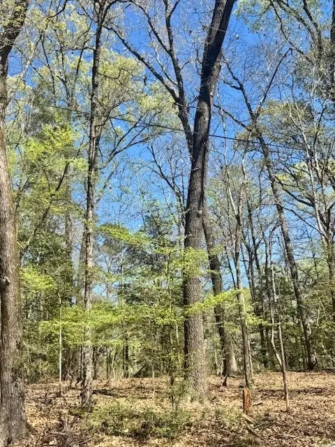 Lot 14 Holly Circle, Etoile, TX 75944 - #3