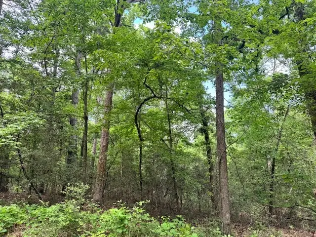 Lot 17 Elm Road, Etoile, TX 75944 - #3