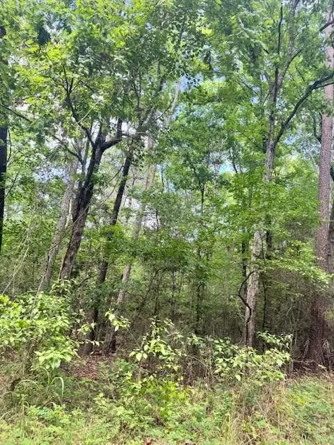 Lot 18 Elm Road, Etoile, TX 75944