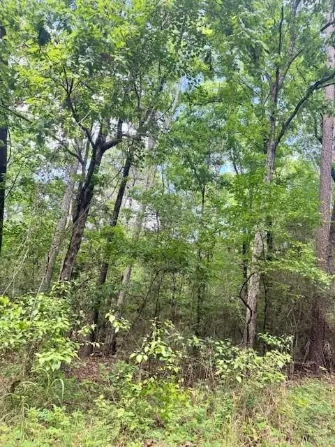 Lot 21 Red Bud Lane, Etoile, TX 75944 - #1