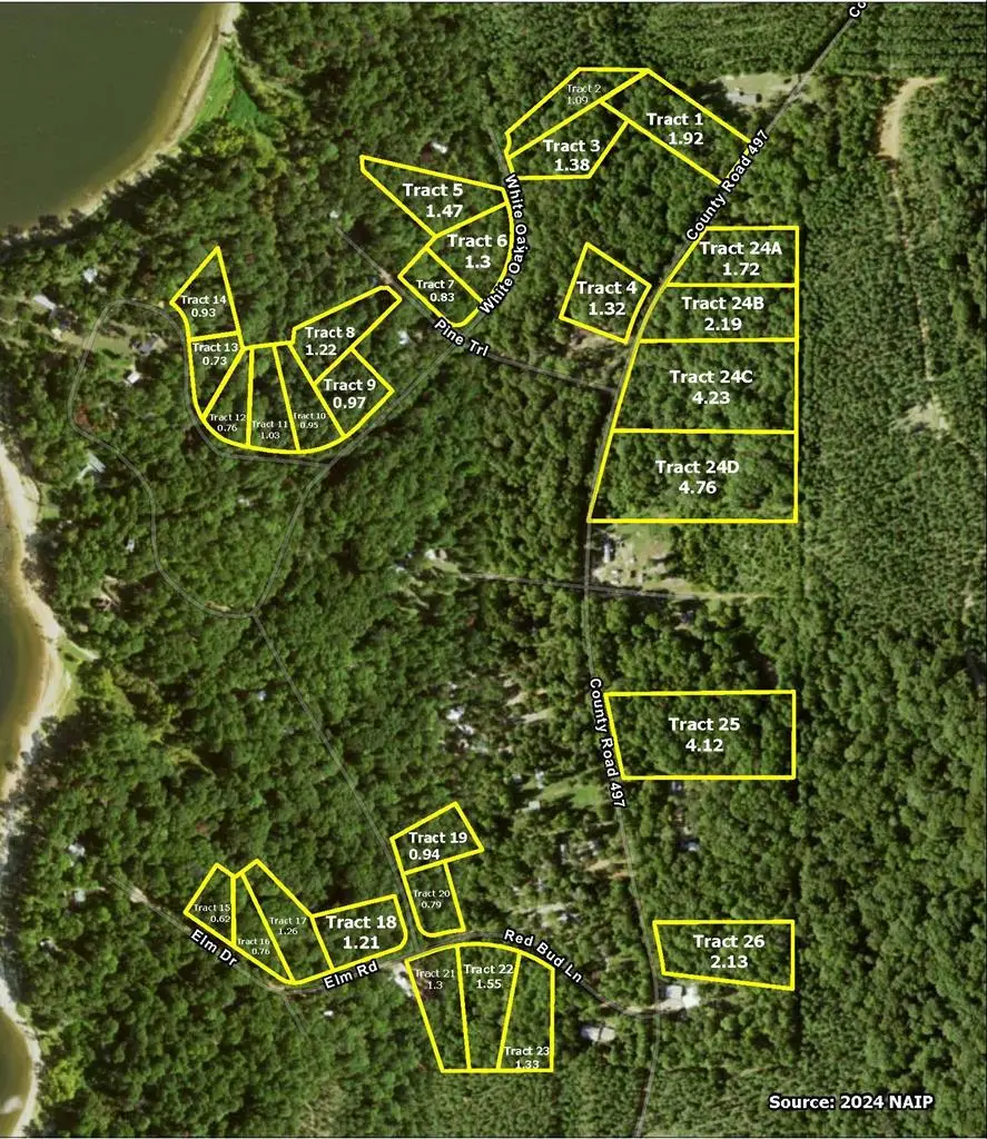 Lot 23 Red Bud Lane, Etoile, TX 75944 - #3
