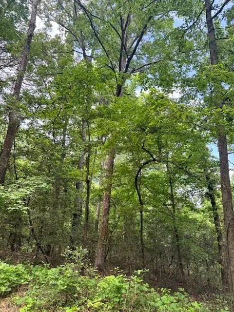 Lot 25 Cr 497, Etoile, TX 75944 - #1