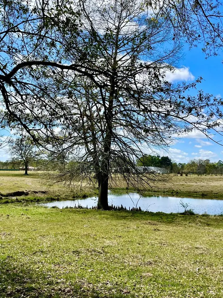 12263 Fm 58, Lufkin, TX 75901 - #3