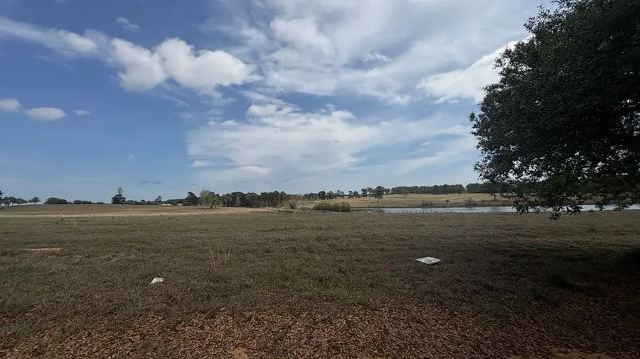 LOT 56 Lakeland Ranch, Hillister, TX 77624 - #2