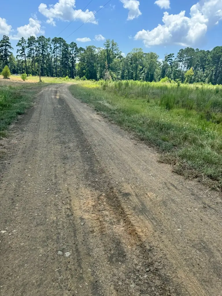 L 10 Private Rd 7700, San Augustine, TX 75972 - #2