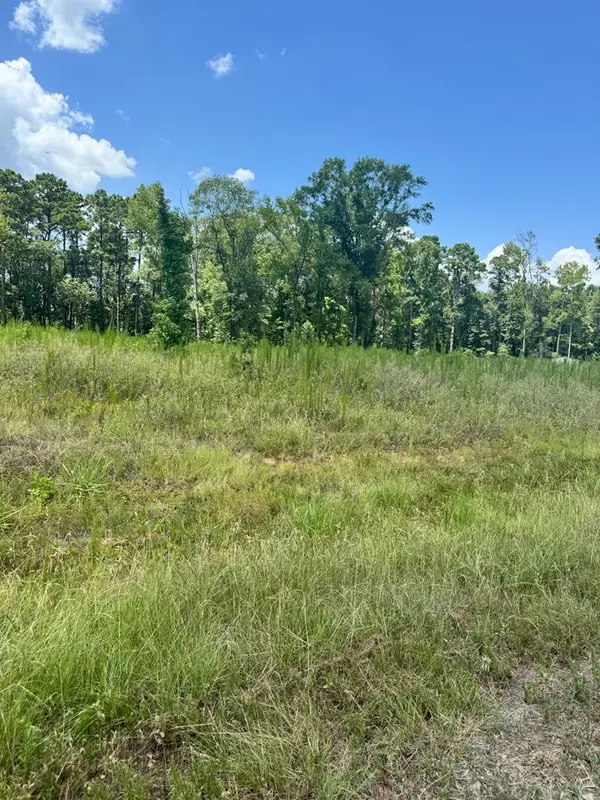 Lot 14 Private Rd 7700, San Augustine, TX 75972
