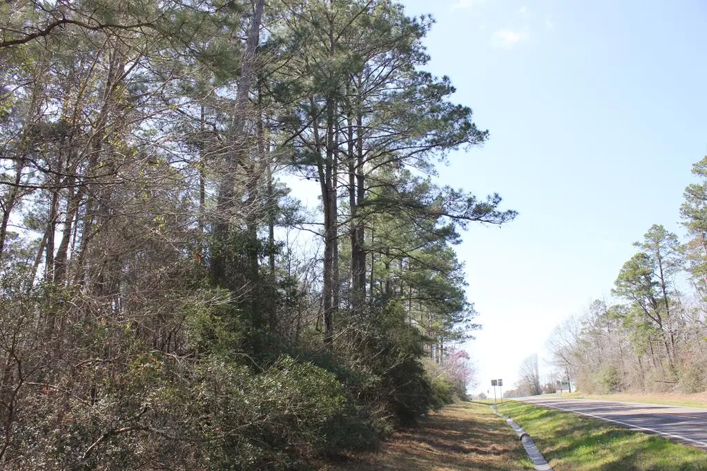PID 3483 Fm 83, Broaddus, TX 75929 - #1