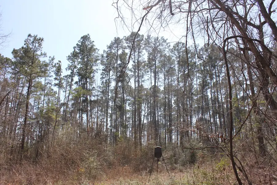PID 3483 Fm 83, Broaddus, TX 75929 - #3