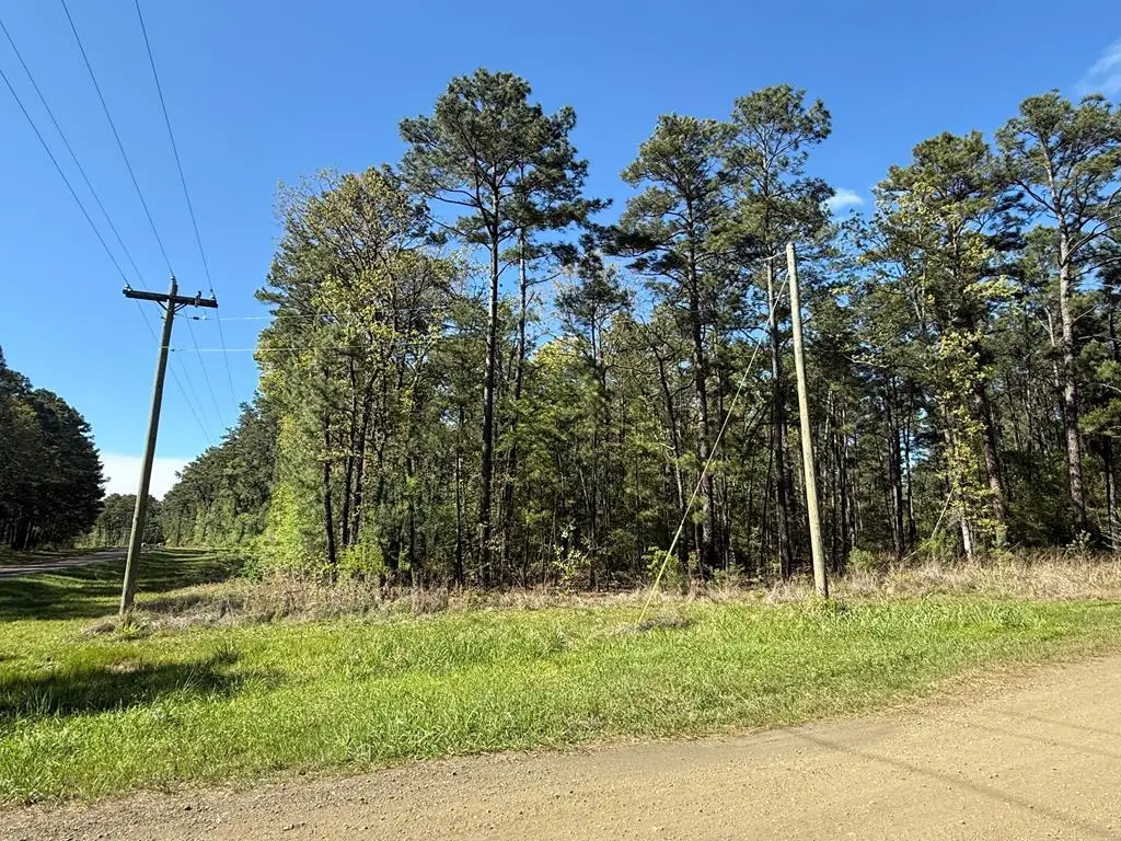 Address Withheld By Seller, Broaddus, TX 75929 - #1