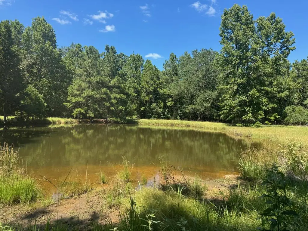 390 Pr 5200, Ratcliff, TX 75858 - #1