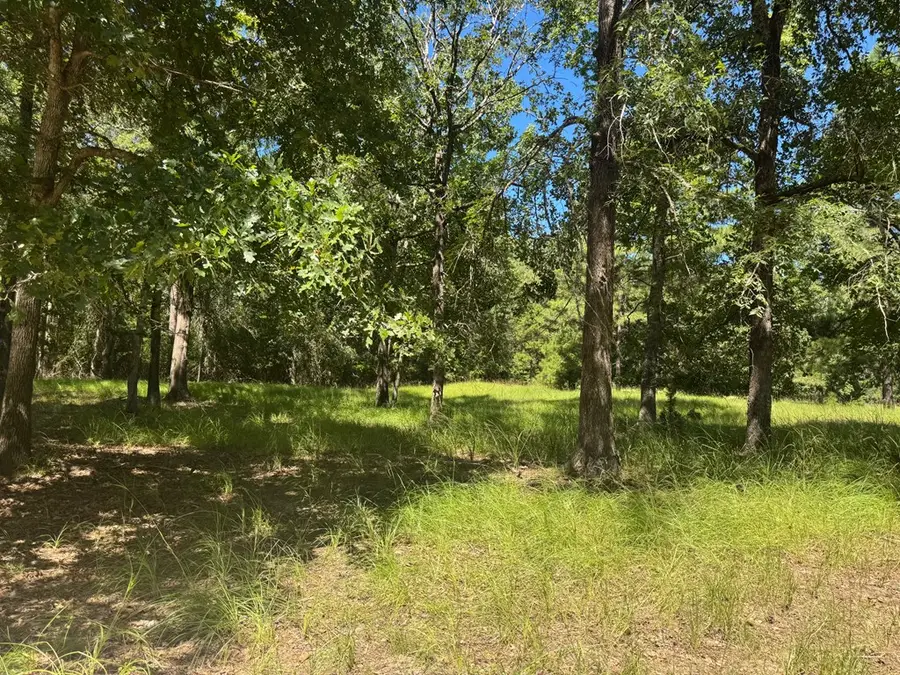 390 Pr 5200, Ratcliff, TX 75858 - #2