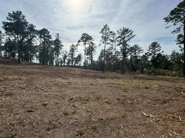 PID000896001400 County Road 219, Brookeland, TX 75931
