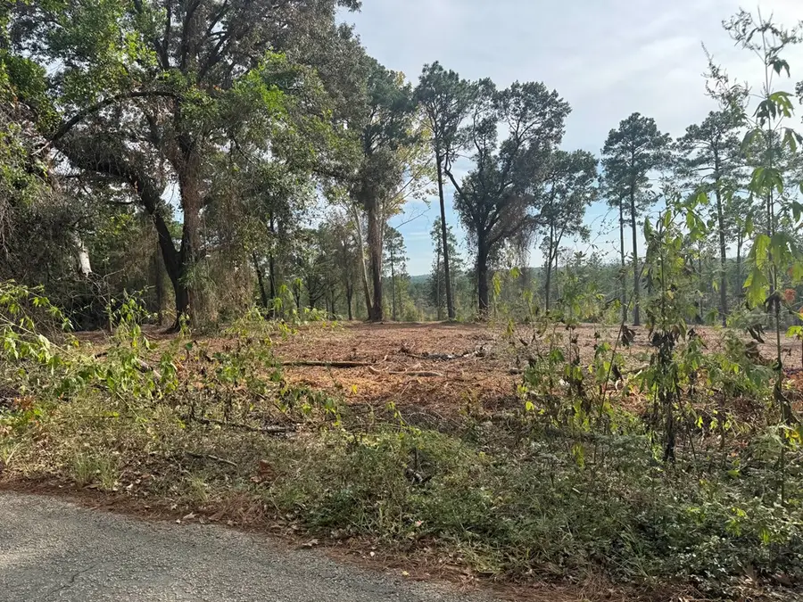 PID000896001400 County Road 219, Brookeland, TX 75931 - #3