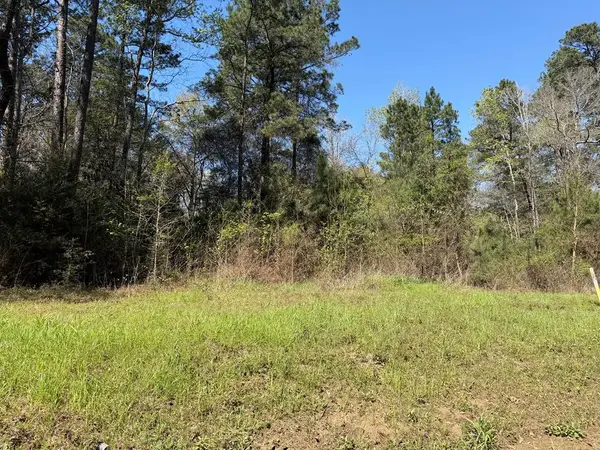 R28182 Forest Service Rd, Shelbyville, TX 75973