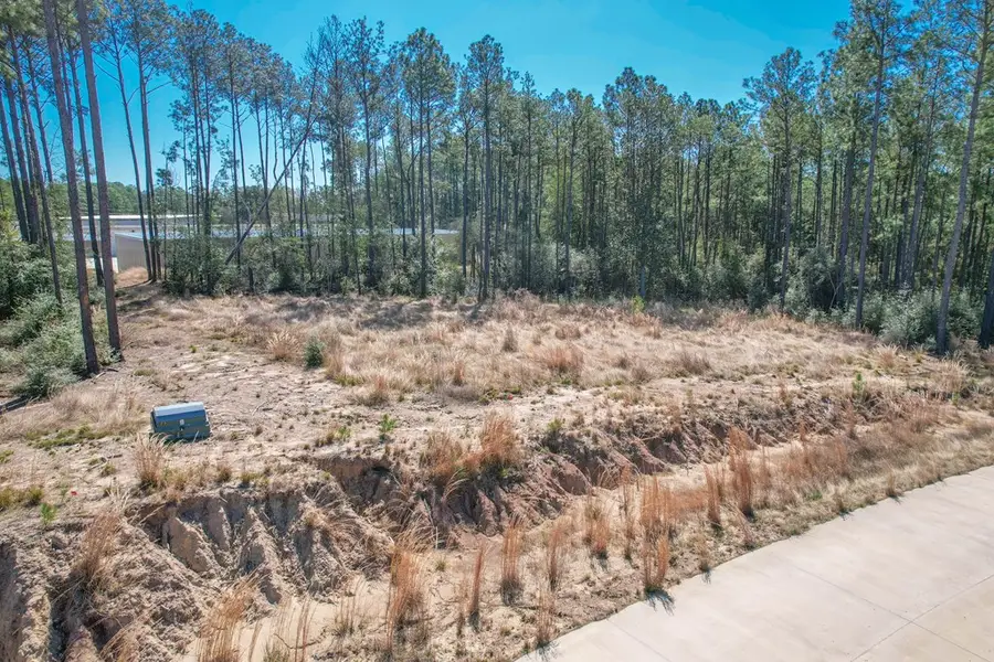 Lot 18 Rayburn Reserve Drive, Brookeland, TX 75931 - #3