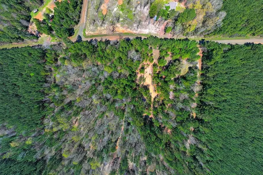 3632 N Bayou Road, Hemphill, TX 75948 - #3