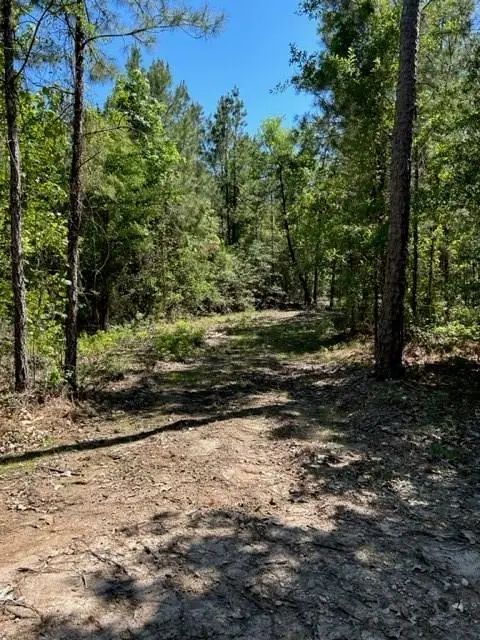 39-A Fm 1751, Broaddus, TX 75929