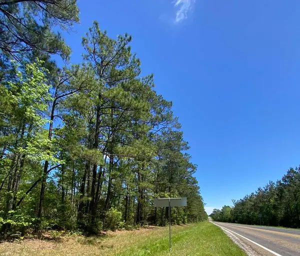 39-E Hwy 83, Broaddus, TX 75929