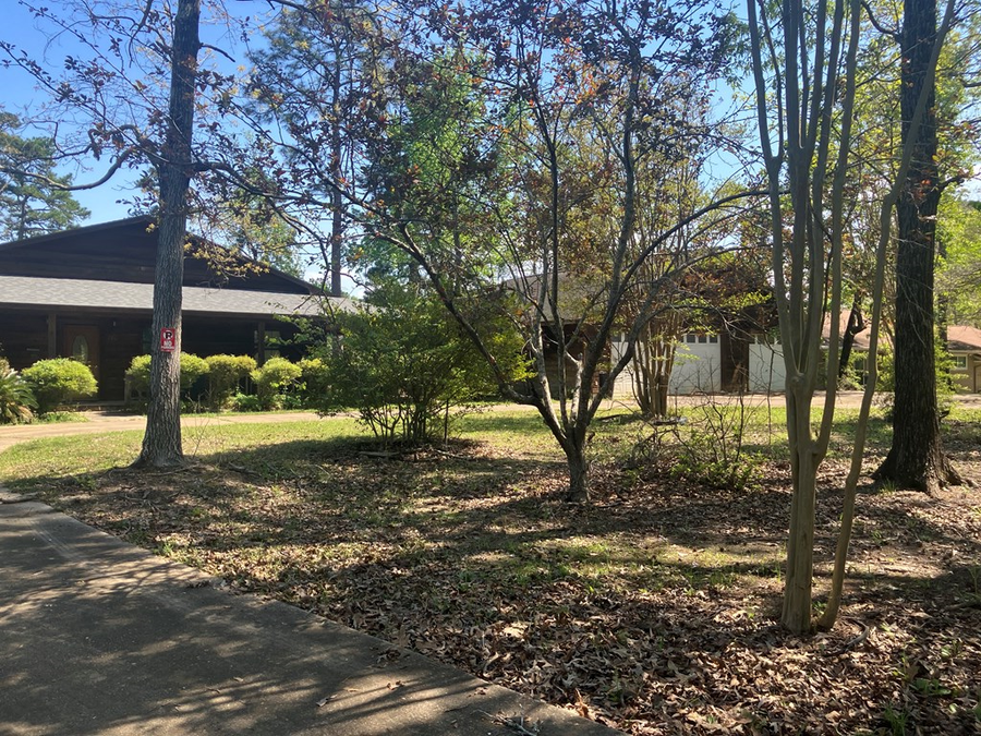 700 Oak Ridge Lane, Hemphill, TX 75948 - #3