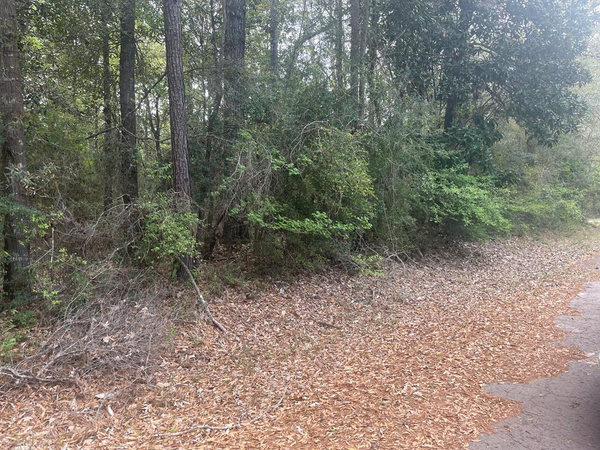 LOT 8 Chestnut, Village Mills, TX 77663
