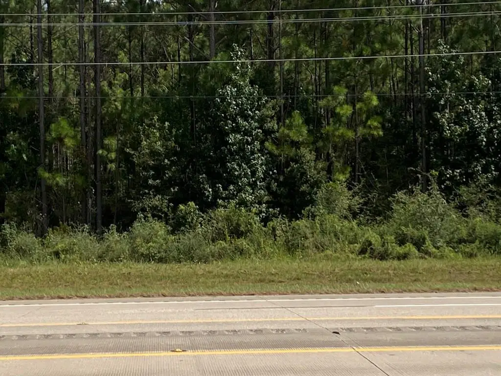 33545 Hwy 96, Buna, TX 77612 - #1