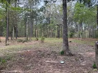 1119 Cr 969, Cushing Douglass, TX 75760 - #2