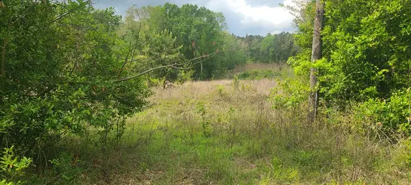740 Gibsonville Road, Huntington, TX 75949