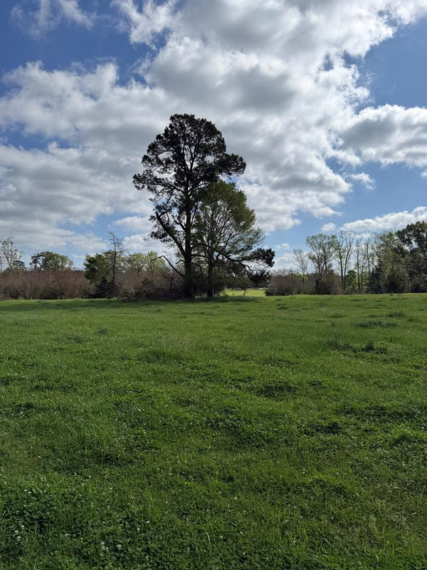 946 Happy Land Road, Nacogdoches, TX 75965