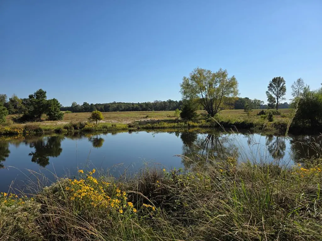 5762 Hwy 63w, Jasper, TX 75951 - #1