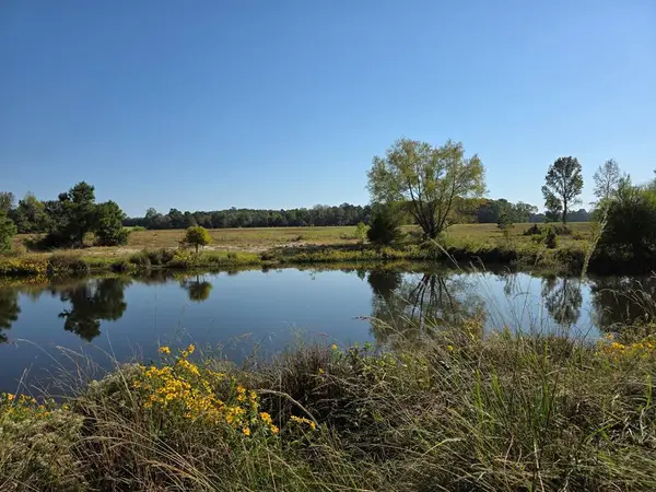 5762 Hwy 63w, Jasper, TX 75951