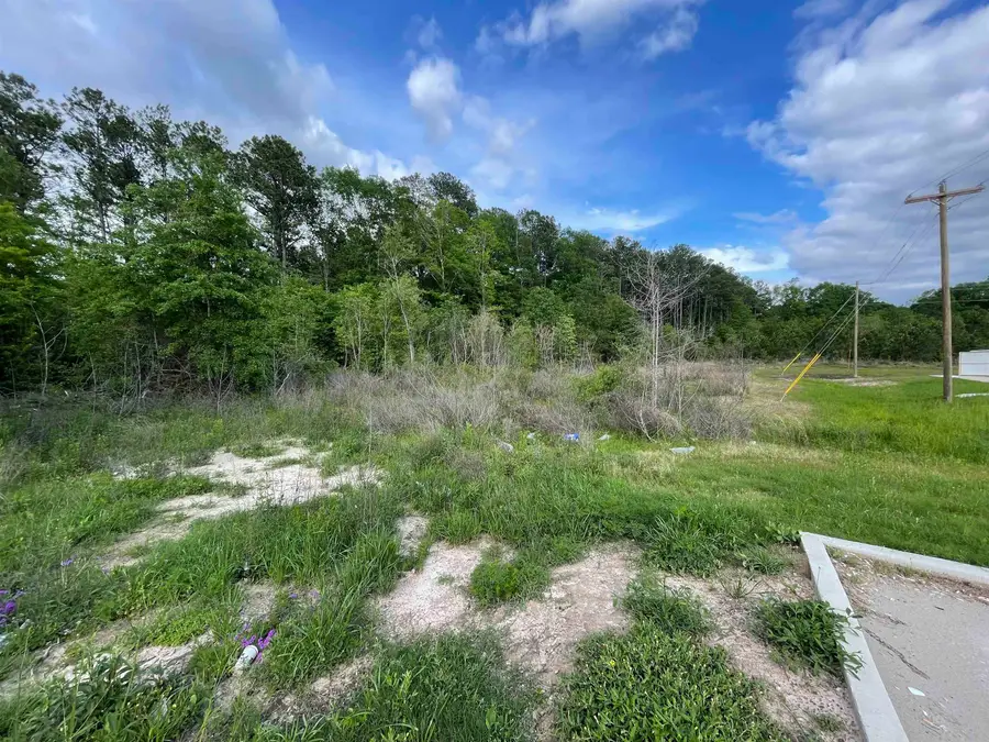 7675 Hwy 96 N, Brookeland, TX 75931 - #3