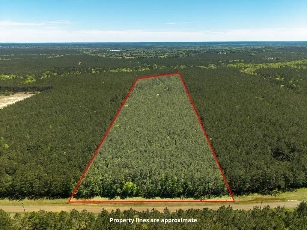 L28379 Cr 403, San Augustine, TX 75972 - #1