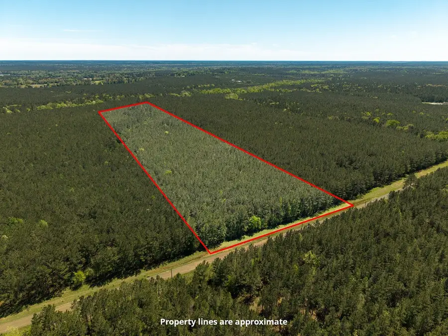 L28379 Cr 403, San Augustine, TX 75972 - #2