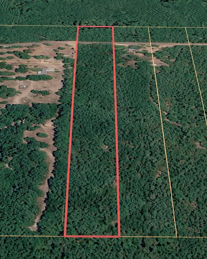 L98486 Grimes Flournoy Road, Huntington, TX 75949 - #3