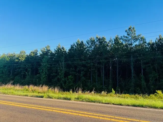 3122 State Hwy 184, Hemphill, TX 75948 - #2
