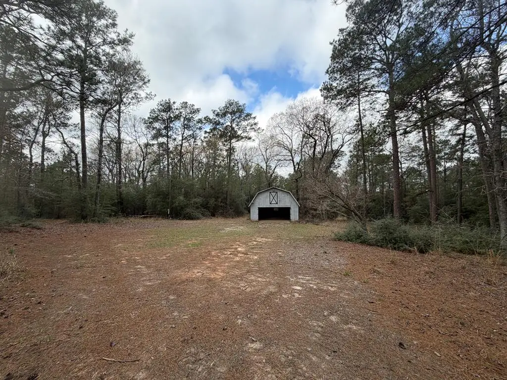 0 Black Squirrel Road East, Brookeland, TX 75931 - #1