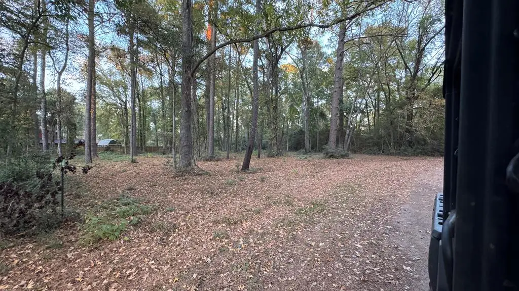 396 Ensign Drive, Hemphill, TX 75948 - #1